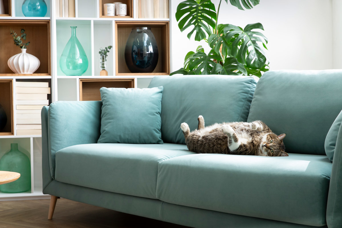 Design-Sofa VOGUE drei Sitze aus eisblauem Samt